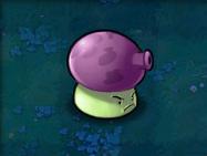 植物大战僵尸冰雪版:冰雪世界中的植物防御战游戏下载