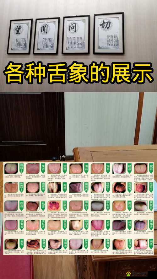 家里的什么东西质感像舌头：探寻家居物品的奇妙触感