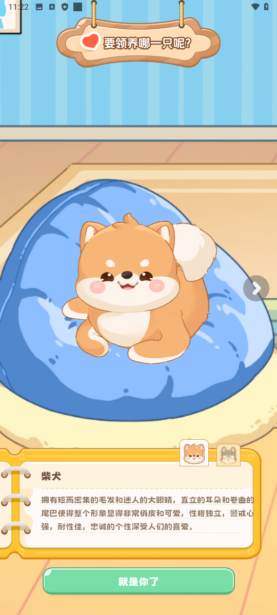 桌面汪最新版下载