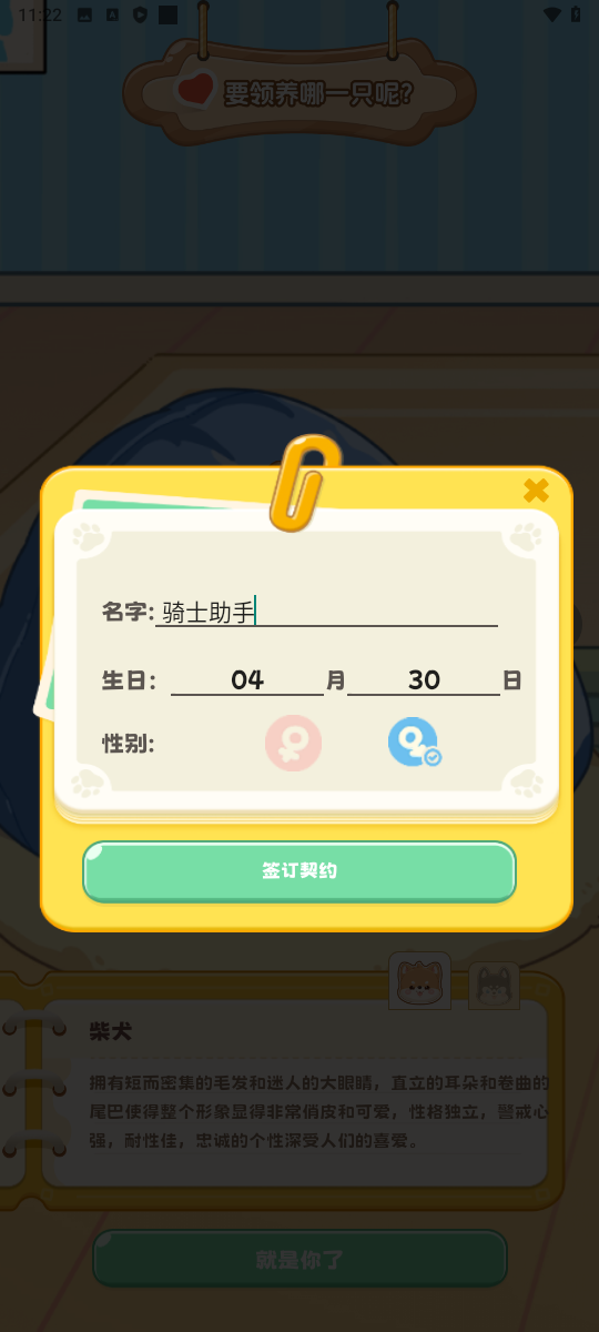 桌面汪最新版下载