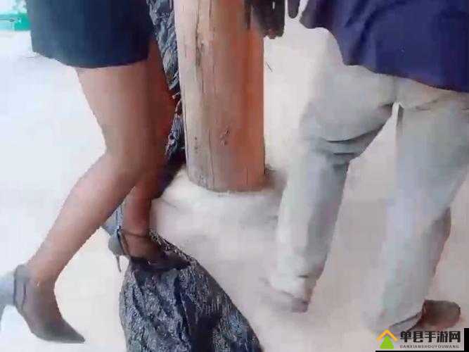 冯珊珊户外任务大全之精彩多样户外挑战全记录