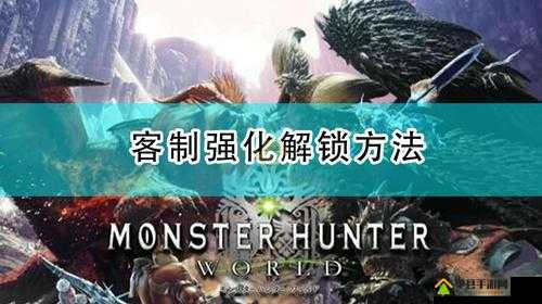怪物猎人世界，全面解析如何开启及详细步骤指导客制化功能