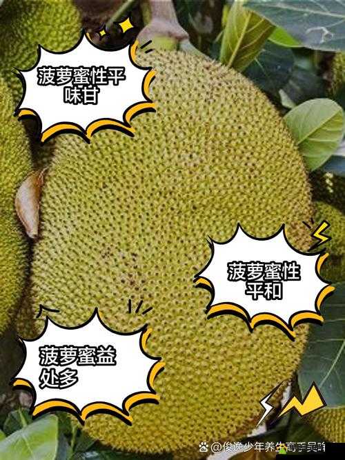 亚洲日产菠萝蜜：带你领略不一样的水果世界
