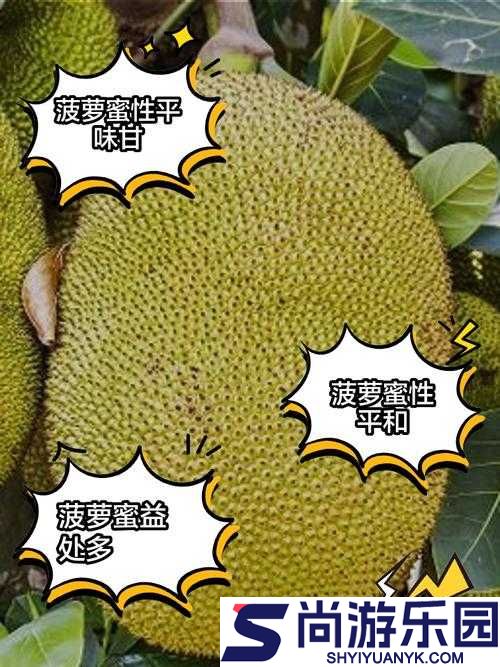 亚洲日产菠萝蜜