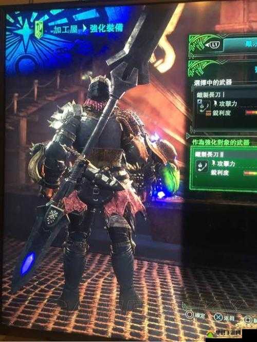 怪物猎人世界暴君长刀II图鉴详解，全面剖析属性、素材及获取方法