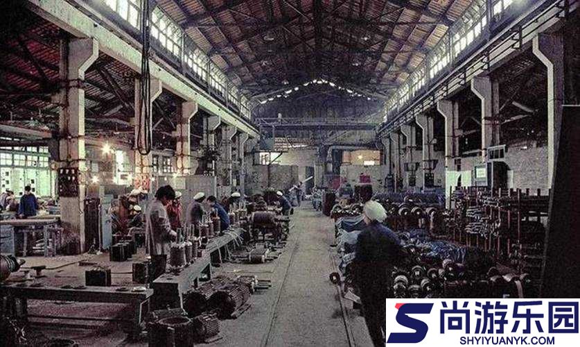 九一果冻制品厂杨柳的日常工作与发展历程