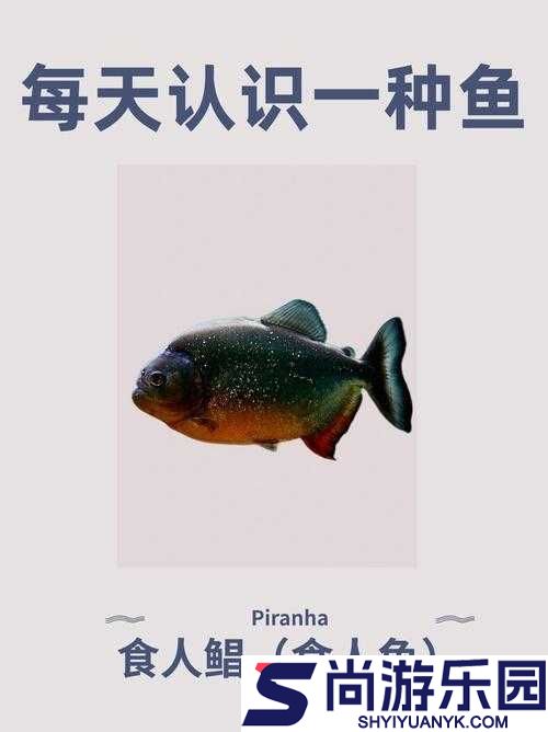 深海迷航攻略