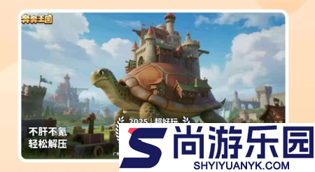 奔奔王国最强英雄排行