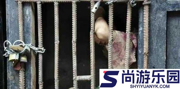 缅甸北部血腥网站最新消息