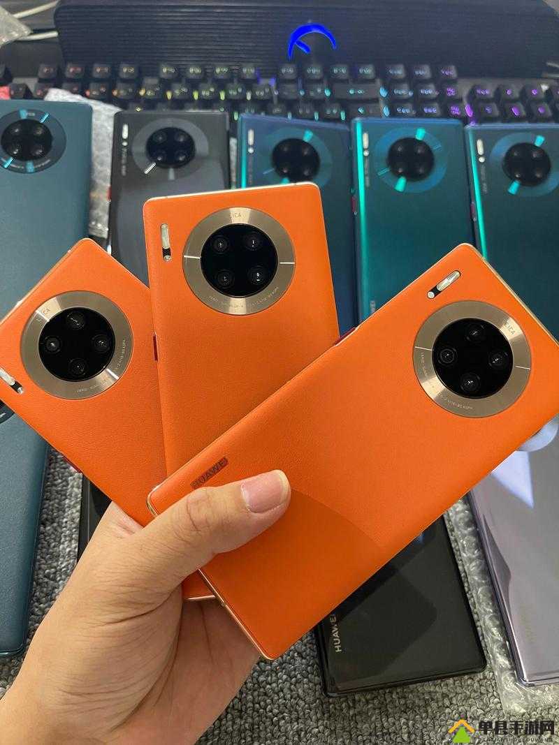 欧美无 mate30pro 巨：一款备受瞩目的高端智能手机