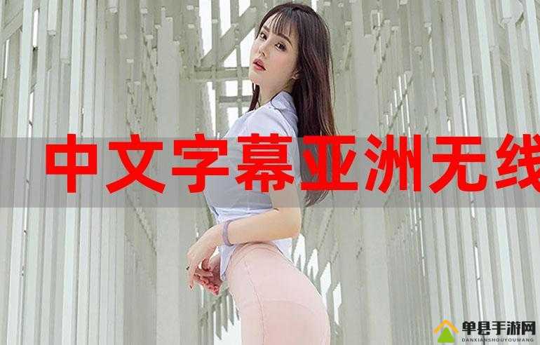 中文字幕亚洲无线码：精彩影视资源尽情畅享