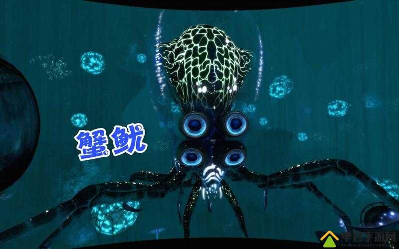深海迷航探险指南，揭秘蹒跚蟹致命属性及高效击杀策略攻略