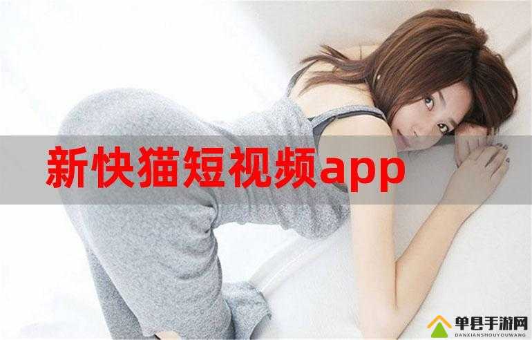 新快猫KM8KW64：一款有趣的应用软件介绍