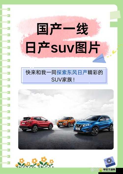 国产 SUV 精二区 69：探索其独特魅力与卓越性能之旅