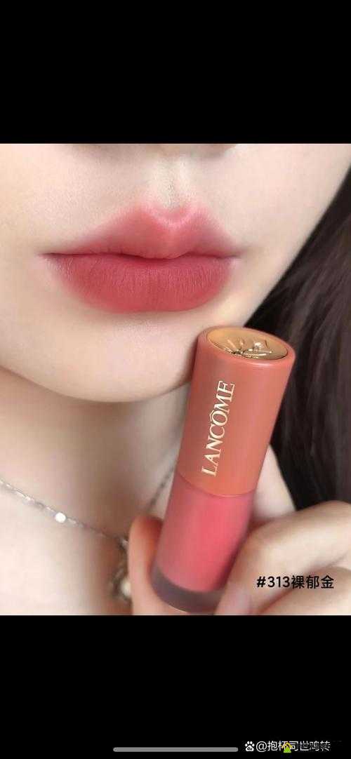YSL 蜜桃色 333- 尽显迷人魅力的时尚美妆之选