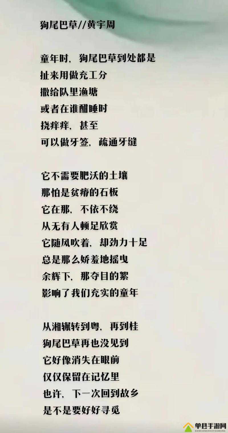 小草回家永不迷路 2024：这是一句充满希望与信念的话语