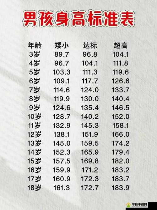 醒目男孩游戏最低配置需求全览，解析其配置要求是否过高
