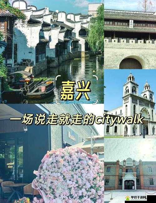 搞机 tim 免费不收钱嘉兴圈：带你探索更多精彩科技世界