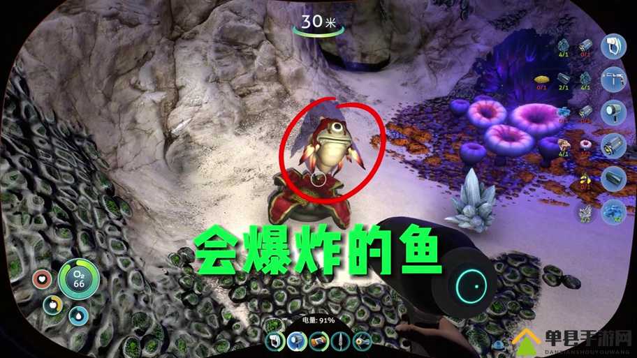 深海迷航美丽水世界探索，揭秘臭臭鱼位置及其独特属性介绍