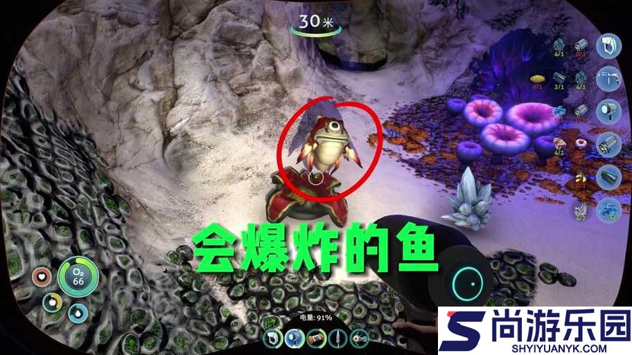 深海迷航美丽水世界探索