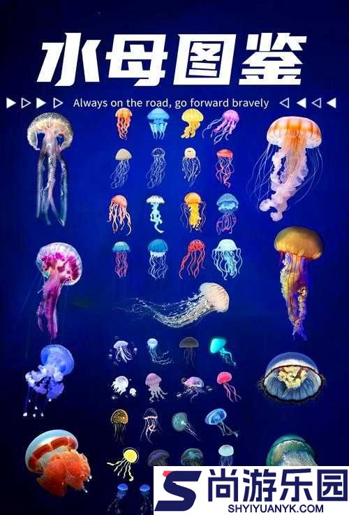 深海迷航探索
