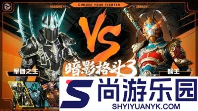 暗影格斗3最强套装