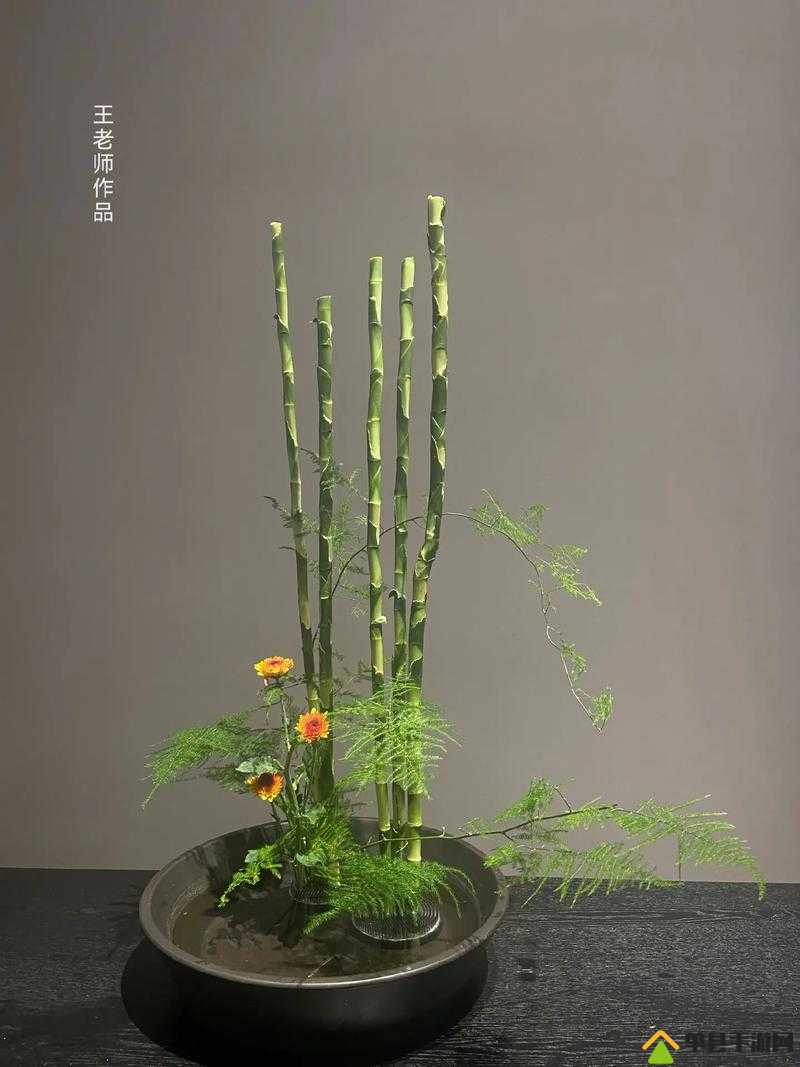 插花弄玉曲径通幽：探寻其背后的艺术魅力与文化内涵