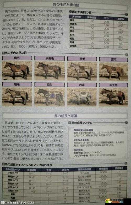 真三国无双8游戏攻略，揭秘马匹快速满级的有效方法与技巧