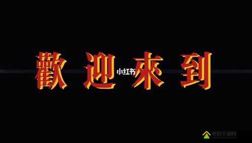 珍稀老 BWBWBWBWBW 对欢迎您：热烈欢迎您的到来