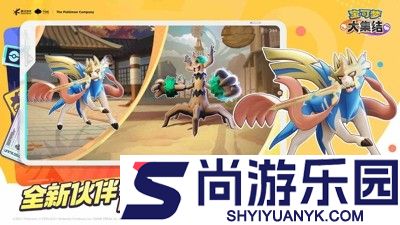 宝可梦大集结最强阵容