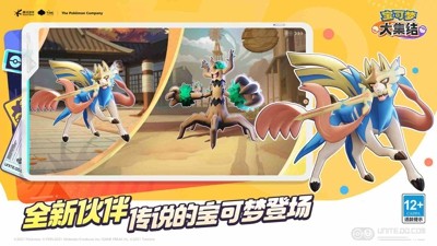 宝可梦大集结公认最强阵容推荐-宝可梦大集结最强阵容