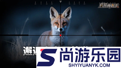 疯狂神射手开服时间表