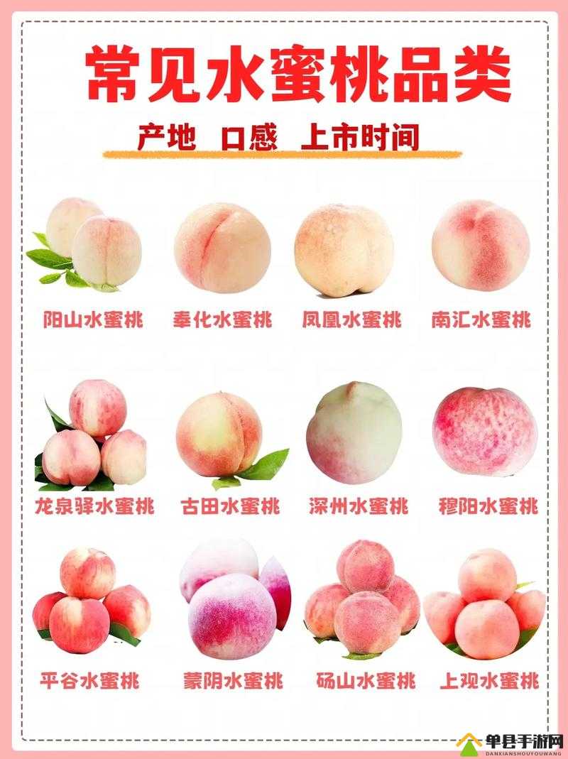 蜜桃产品一二三产区，带你领略蜜桃的世界