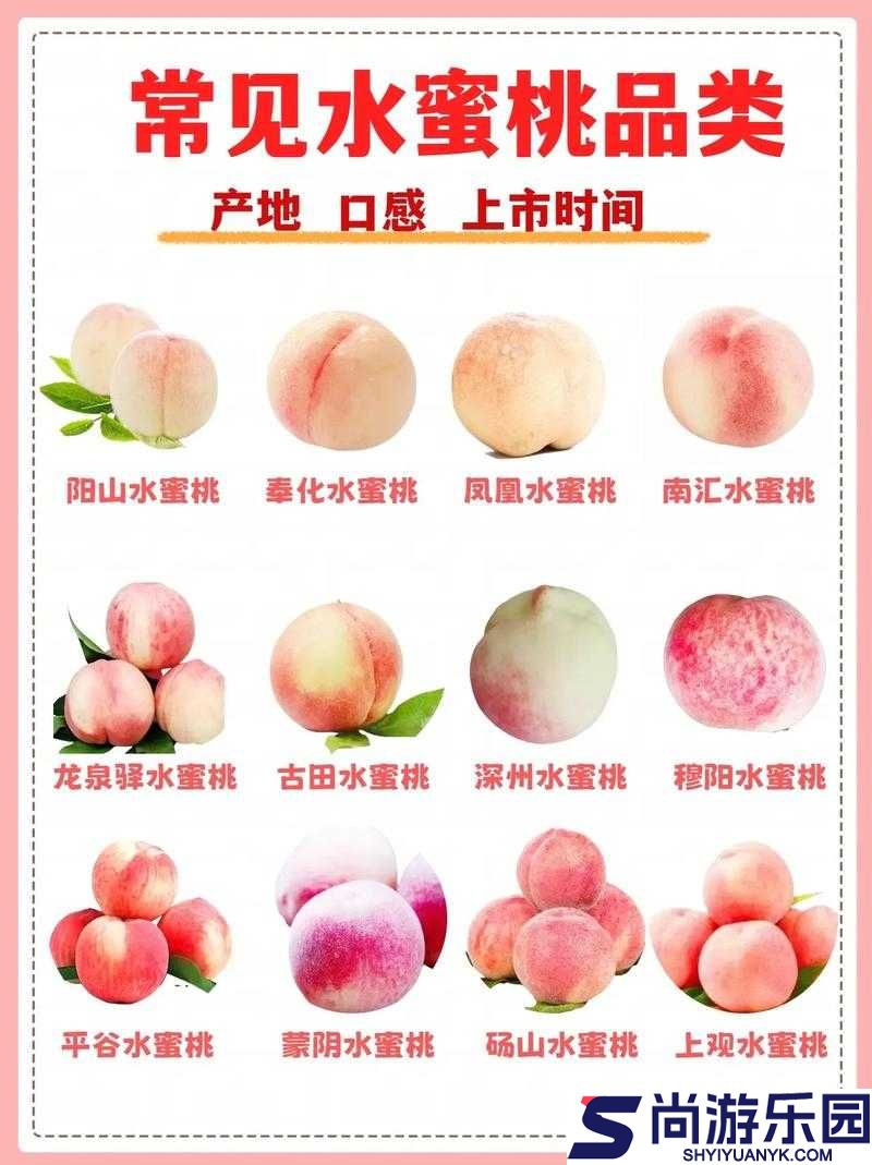 蜜桃产品一二三产区