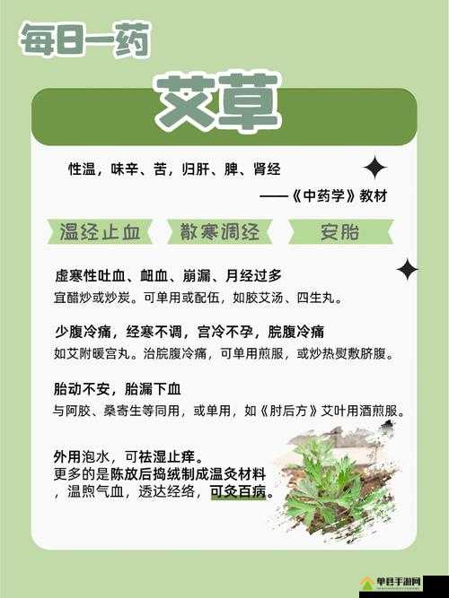 天国拯救游戏深度解析，艾蒿药剂图鉴及其神奇效果全面探索