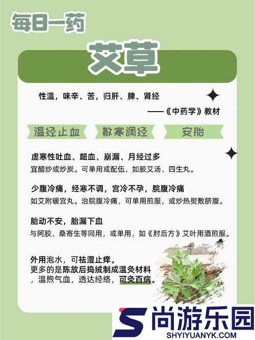 天国拯救游戏深度解析