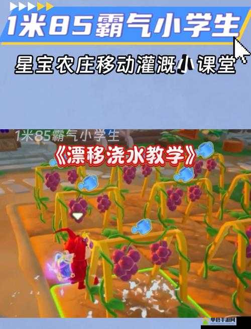 JY 灌溉系统游戏：带你领略独特的灌溉策略与乐趣