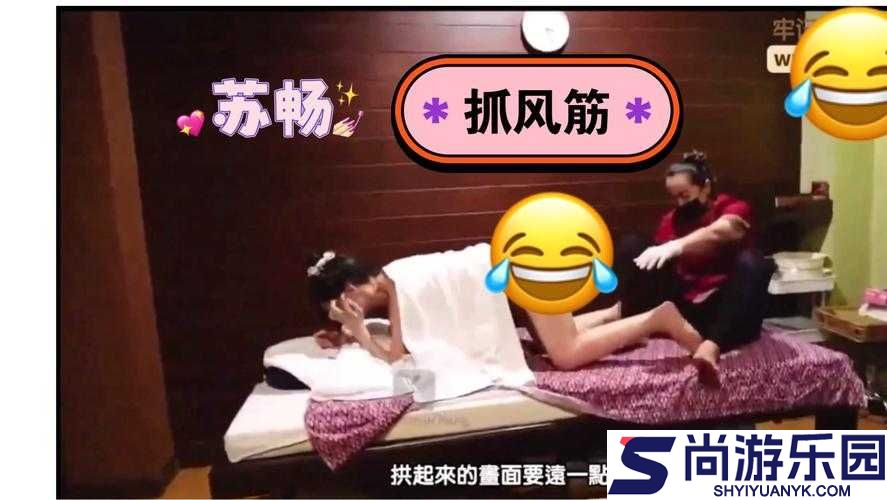 麻花传