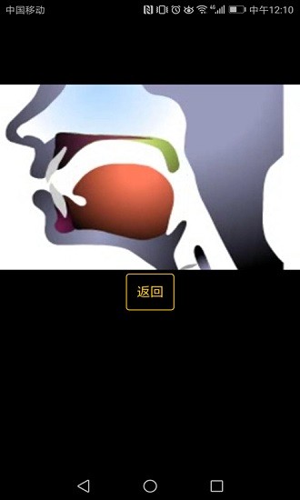 英语国际音标学习免费版下载