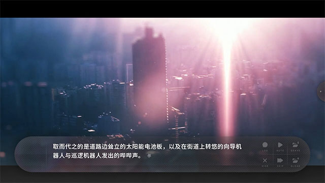 夏末盛开的花下载