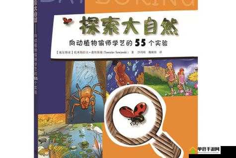 户外插bbbb：探索大自然中的奇妙电源连接方式
