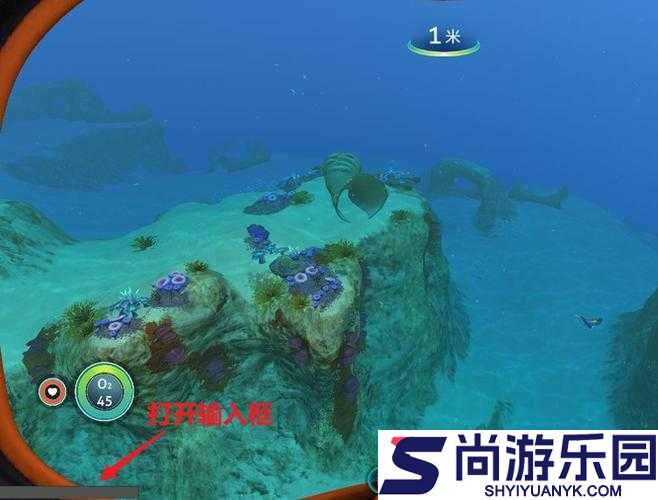 深海迷航饲养指南