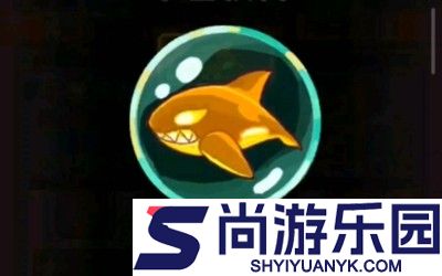 咸鱼之王玩具选什么最好 玩具选择推荐