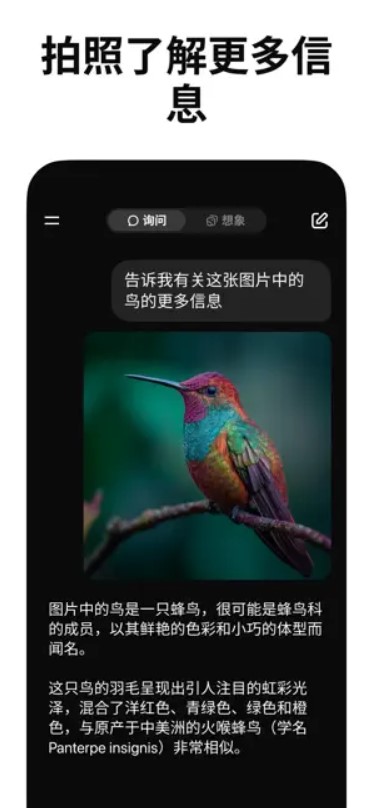 grokai下载
