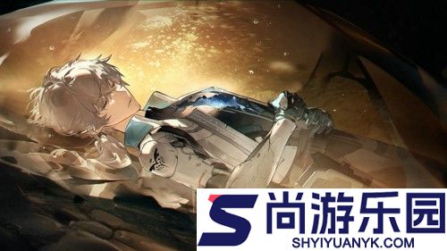 战双帕弥什周年庆自选s