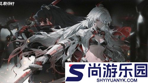 战双帕弥什周年庆是什么时候