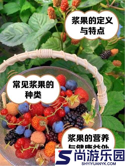 Unturned游戏全浆果种类及其效果详细解析指南