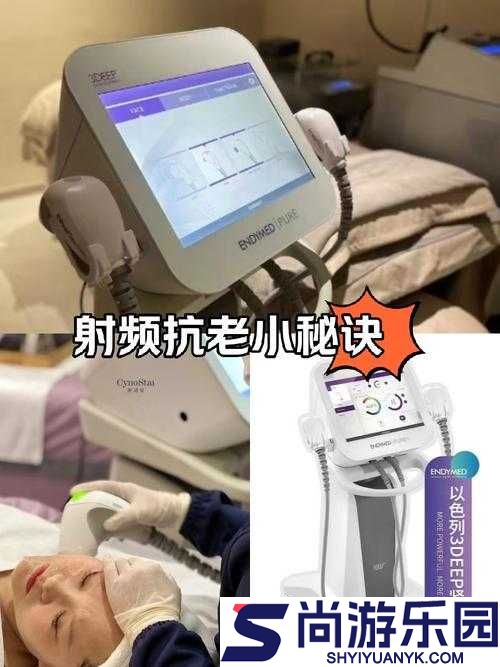 日本