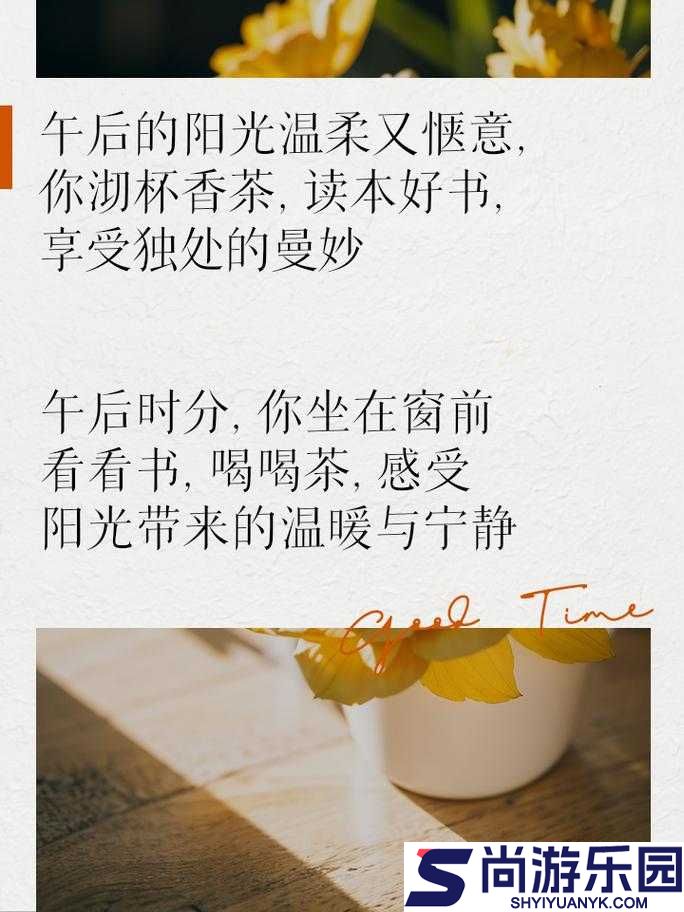 丈夫上班后的午后阳光