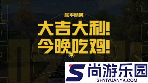 和平精英最强灵敏度